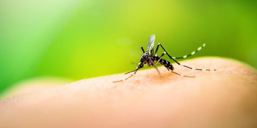 Ascade intensifica ações contra a dengue